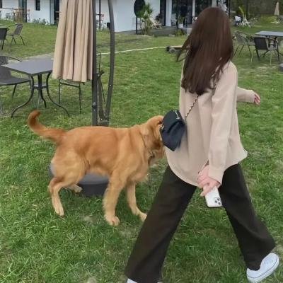 爱尔兰之美